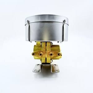 Manomètres de niveau de pression différentielle en laiton anti-vibrations OEM 0-100mbar-0-350psi - Product Image 2