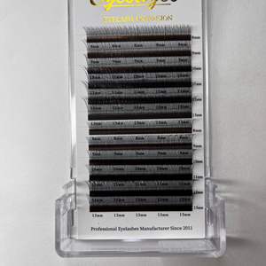 Extensions de cils synthétiques individuelles pré-fabriquées en forme de V, à double pointe, volume plat, ellipse, avec logo personnalisé pour votre marque - Product Image 2