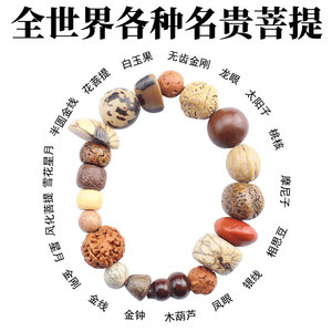 18 Seed Bodhi Bracelet Raw Seeds Buddhist Beads Vajra Star <b>Moon</b> Dragon Eye Root Ethnic Style Unisex Jewelry Religious Ceremonies - Product Image 4