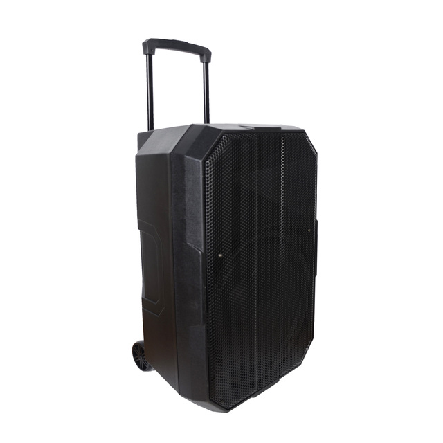 RQSONIC Professional Audio CAPT15AUX 15'' 120W Portable Trolley  Battery Powered Active Speakers Sound System With Microphone