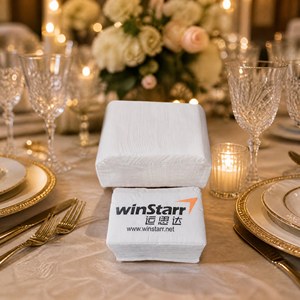 Serviettes en papier carrées jetables écologiques en pâte vierge, 2 plis, 6 volets, style sac, pour restaurants et anniversaires - Product Image 4