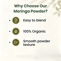 Bubuk Daun Murni Antioksidan Berbasis Tumbuhan Bubuk Daun Moringa Produsen OEM