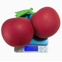 Jouet Squishy en Silicone Géant en Forme d'Animaux et de Fruits (Carotte, Fraise, Fromage, Ananas, Canard) Anti-Stress à Presser