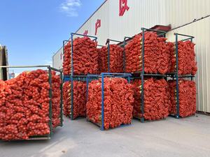 2025 Nova Colheita de Sinofarm Marca Fresca Cebolas Vermelhas e Cebola Amarela Branco Preço Por Tonelada na China De Sementes De Cebola Exportador - Product Image 5