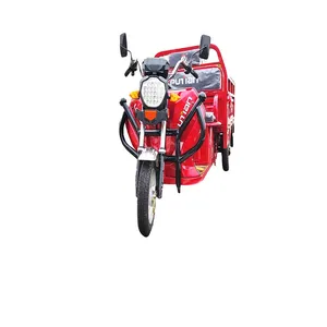 Genuine Tricycle Adult Bike Cheap Scooter Cargo Three Car Eu Battery Motor Tricycletuk Tuk 3 Wheel Electric Auto-Rickshaw