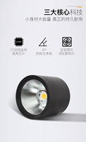 Spot Étanche IP65 Monté en Surface Down Light Spot Lampe Cob 7W 12W 20W 30W Extérieur Balcon Terrasse Plafond Led Downlight