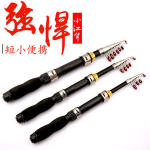 Mini canne à pêche télescopique 30 cm rétractable pour la pêche en mer, canne à pêche en eau salée avec moulinet, utilisation en bord de mer - Product Image 4