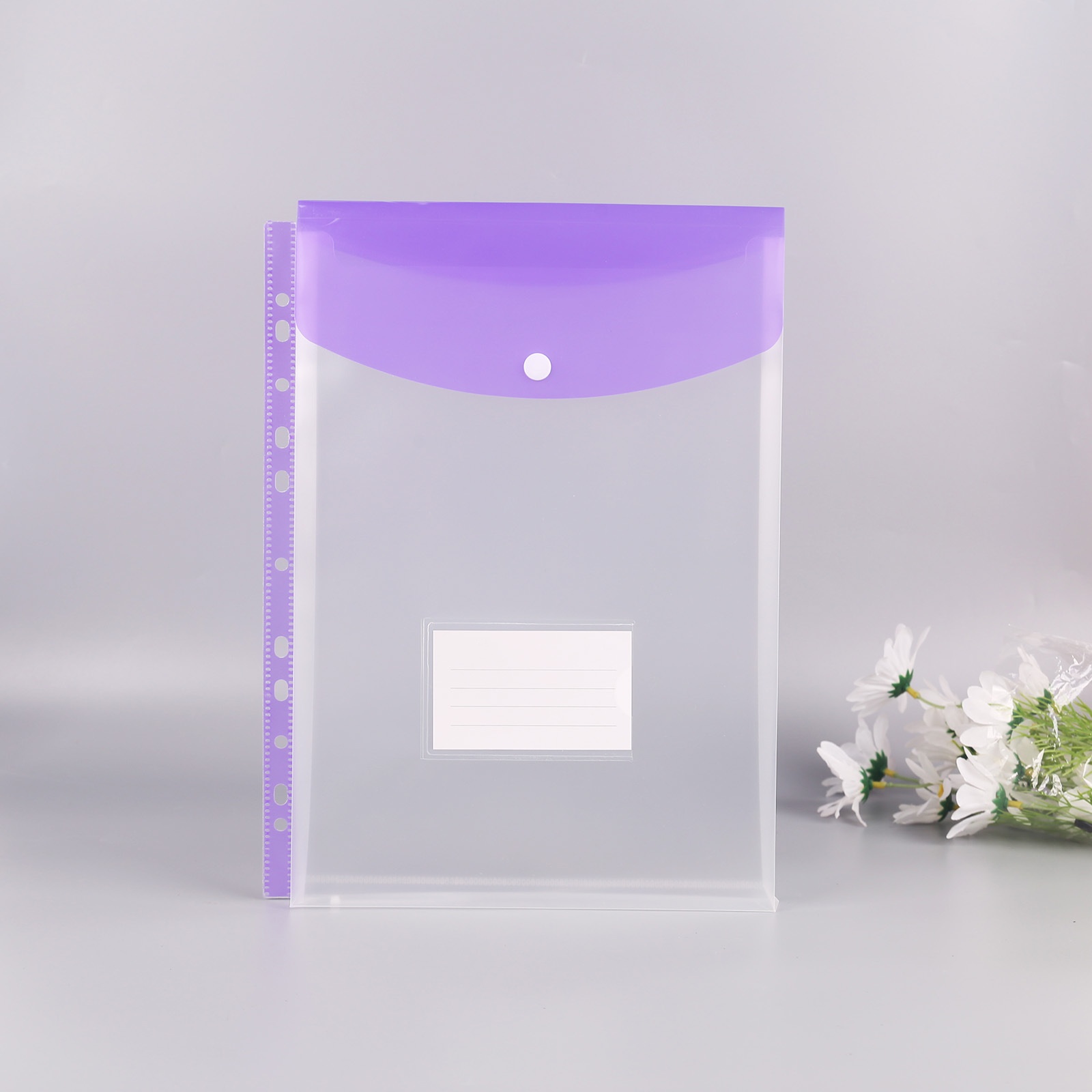 Viola