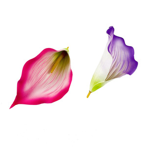 Cabeza de Flor de Calla Lírio Artificial de 12cm y 19cm, Decoración para Bodas - Product Image 2