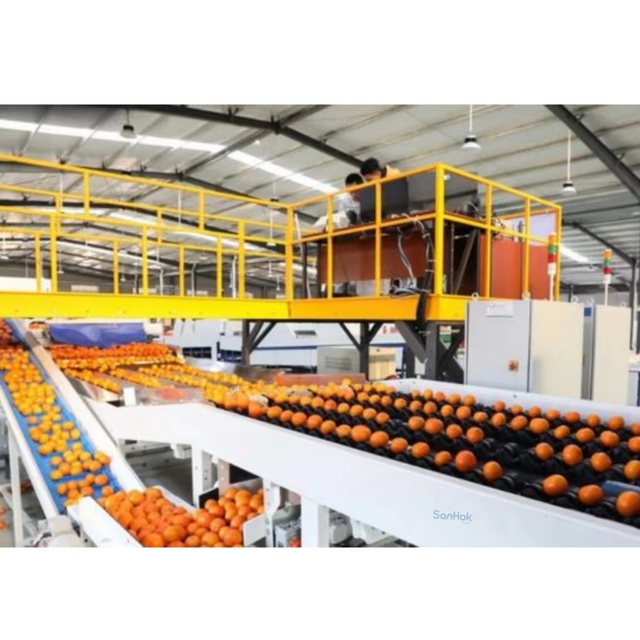 Best Price Sorting Machine for Oranges Factory Wholesale