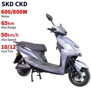 中国优质电动摩托车制造商10/12英寸40-50千米/h速度45-65千米范围2人电动轻便摩托车