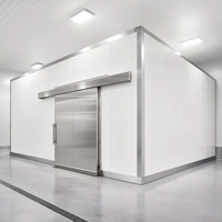 Ruang Pendingin Walk-in Kustom, Ruang Penyimpanan Dingin 10ftx10ftx8ft, Cold Room Walk-in Cooler