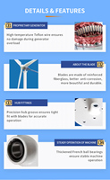 Éolienne à axe horizontal de 5 kW à haut rendement, diamètre de rotor de 5,4 m, sortie 120 V/220 V/240 V/380 V pour l'électricité domestique