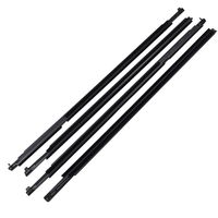 Joint d'étanchéité de vitre extérieure de porte avant droite 72410-SNA-A01 pour Honda Civic 06-11, pour montage et utilisation.