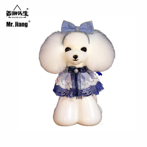 Mr.Jiang Teddy Head Hair <span class=keywords><strong>Pet</strong></span> Teacher Beauty Modeling Practice Dog Model Standard Skeleton Model Dog Whole Body Hair - Product Image 1