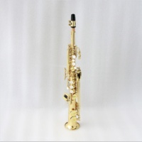 Professional Factory Sopranino Saxophone Top Quality Gold Lacquered Saxophone With Accessories High Quality Sopranino Saxophone