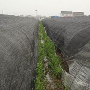 <span class=keywords><strong>Malla</strong></span> <span class=keywords><strong>de</strong></span> <span class=keywords><strong>Sombra</strong></span> <span class=keywords><strong>para</strong></span> Jardinería al Mejor <span class=keywords><strong>Precio</strong></span>, Mallas <span class=keywords><strong>de</strong></span> <span class=keywords><strong>Sombra</strong></span> <span class=keywords><strong>para</strong></span> Camas <span class=keywords><strong>de</strong></span> Jardín, <span class=keywords><strong>Malla</strong></span> <span class=keywords><strong>de</strong></span> <span class=keywords><strong>Sombra</strong></span> Verde del 55% al 60% <span class=keywords><strong>para</strong></span> Plantas, <span class=keywords><strong>para</strong></span> Casa y Granja - Product Image 6