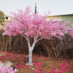 ต้นเชอรี่เทียมสีชมพูเฌอรี่ดอกไม้ต้นไม้สำหรับกลางแจ้ง - Product Image 3