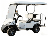 Voiturette de golf OEM 4 places à essence, moteur 4 temps 300cc, éclairage LED, propulsion arrière, 30-50 km/h pour utilisation nocturne