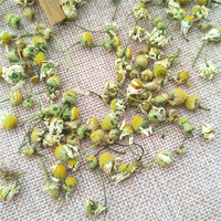 Thé de fleurs de camomille séchées naturelles en gros, saveur relaxante pour le sommeil