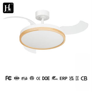 Ventilateur de plafond intelligent invisible de 42 pouces avec commande par application, lumière RGB à intensité variable, moderne et rétractable - Product Image 4