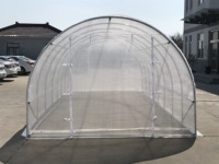 Serre tunnel en plastique imperméable robuste pour l'agriculture 8x3x2m