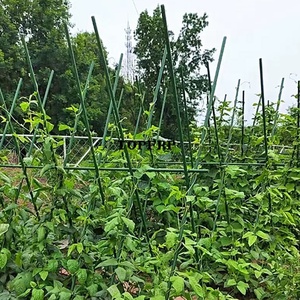 Durable <b>Garden</b> Support <b>Pole</b> Steel Core Plastic Coated Plant Stake - Product Image 3
