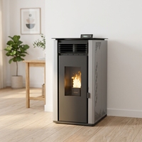Poêle à granulés de bois PANSEE PS-60 à haute efficacité, alimentation automatique, sans fumée, pour le chauffage intérieur des appartements