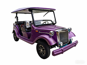 Voiture Classique Vintage Robuste pour la Montagne, 5-11 Places, Longue Portée, Haute Puissance, Faible Consommation, Vente Directe Usine, Offre Spéciale - Product Image 2