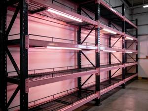 Offre Spéciale Prix Usine Étagère <span class=keywords><strong>de</strong></span> Stockage en Acier Robuste Rayonnage Industriel Sélectif pour Palettes Entrepôt ODM OEM - Product Image 2