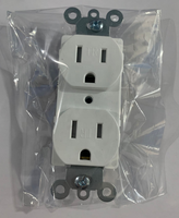 Stopkontak Dinding Luar Ruangan Anti Lonjakan Ganda IP44 Standar Amerika, PVC, Tipe US, untuk Hunian/Umum, 15A