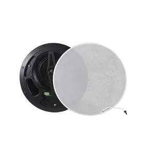Haut-parleur de plafond stéréo sans monture DSP Dante network coaxial 6 pouces d'excellente qualité avec fil de sécurité