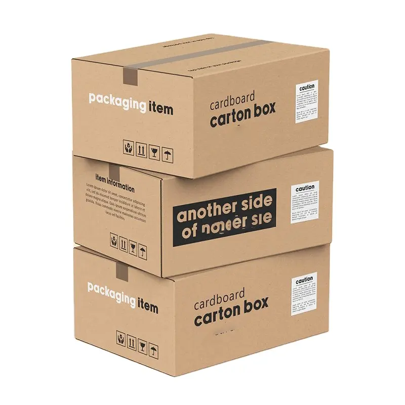 Novo Modelo Carton Embalagem Reutilizável Envio Caixa De Embalagem Para Envio