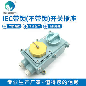 Enchufe Industrial Marino RSIL2-2, Toma de Corriente de 3 Polos, Interruptor, Enchufe con y sin Bloqueo, Opciones para Red de Sudáfrica, Disponible en Stock - Product Image 2