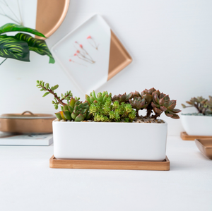 <span class=keywords><strong>Pot</strong></span> <span class=keywords><strong>rectangulaire</strong></span> en céramique blanche <span class=keywords><strong>pour</strong></span> plantes succulentes avec plateau en <span class=keywords><strong>bambou</strong></span> - Product Image 6