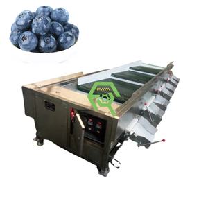 Machine de tri et de cueillette de myrtille à 4 niveaux - Product Image 6