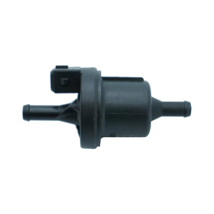 Nieuwe Koolstofcanister Solenoidklep voor Pentium X40 B30 B50 Senya R7 Universele OE Code BM111874Z Vervanging - Product Image 4