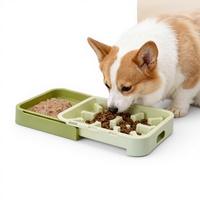 Gamelle rectangulaire Daoge en plastique solide pour animaux de compagnie avec base à ventouse – Gamelle anti-étouffement et antidérapante pour chien, cadeau d'affaires