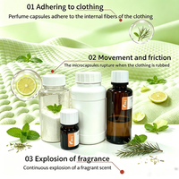Huile parfumée microencapsulée Ruifeng, arôme synthétique fruité industriel, pour liquide vaisselle et savon, pureté 99,5%-100%, conditionnement 200kg
