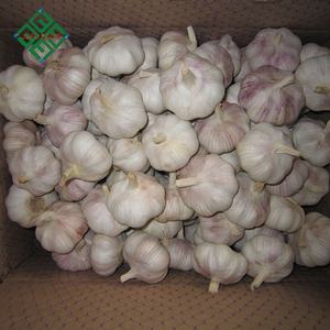 <span class=keywords><strong>Ajo</strong></span> blanco puro, <span class=keywords><strong>morado</strong></span> normal, rojo fresco de Garlic World-a precios de mercado mayorista - Product Image 5