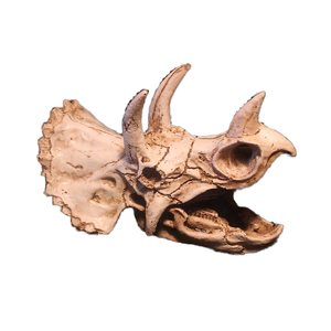 Tianbo Kunstharz-Dinosaurierschädel Umweltfreundliche Innendekoration für Reptilien- und Amphibienbedarf 16x8x11cm - Product Image 6