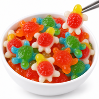 Bonbons Gélifiés Halal pour Enfants en Forme de Tortue, Bonbons Personnalisés OEM, Bonbons Gélifiés en Gros, Fournisseur de Bonbons Gélifiés en Chine