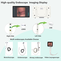 Gastroscope, laryngoscope, bronchoscope, rhinoscope, endoscope jetables flexibles, moniteur 11,6 pouces, processeur d'images 1920x1080