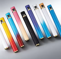 Briquet Électrique Rechargeable 2026, USB LED, Écologique, Style Luxe Premium