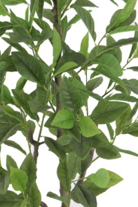 Arbre de gardénia artificiel de 1,85 m en direct d'usine - Plante artificielle en tige PE pour la décoration multi-scènes - Product Image 4