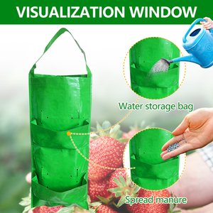 Agriculture Outdoor 3 Gallon Recyclable Hanging Strawberry Tomate Plant Pouch Biodégradable Garden Vegetable PP Plastic Grow Bag - Product Image 4