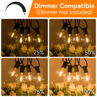 Guirlande lumineuse d'extérieur à ampoules G40 dimmables, 25FT 50FT 100FT, pour mariage, Noël, jardin, décorations