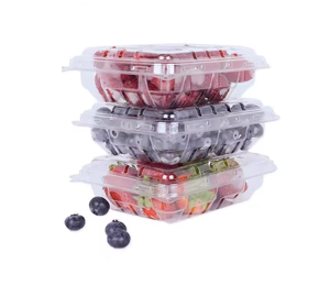 Customized Biodegradable Plastic Packaging Containers Bulk Nuts Bread Biscuits Salad Cakes and <strong>Fruit</strong> Plastic Clamshell <strong>Box</strong> - Product Image 3