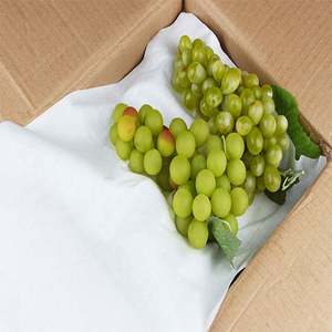 Almohadillas Absorbentes de Agua Fresh Blood para Envasado de Alimentos, Bandejas de Carne, Almohadillas Desechables para Alimentos - Product Image 4