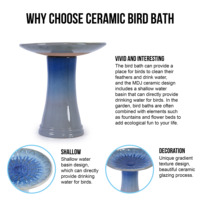 Bain d'oiseaux moderne en céramique pour patio et jardin, éco-responsable, émaillé, surélevé, pour potager sur pied